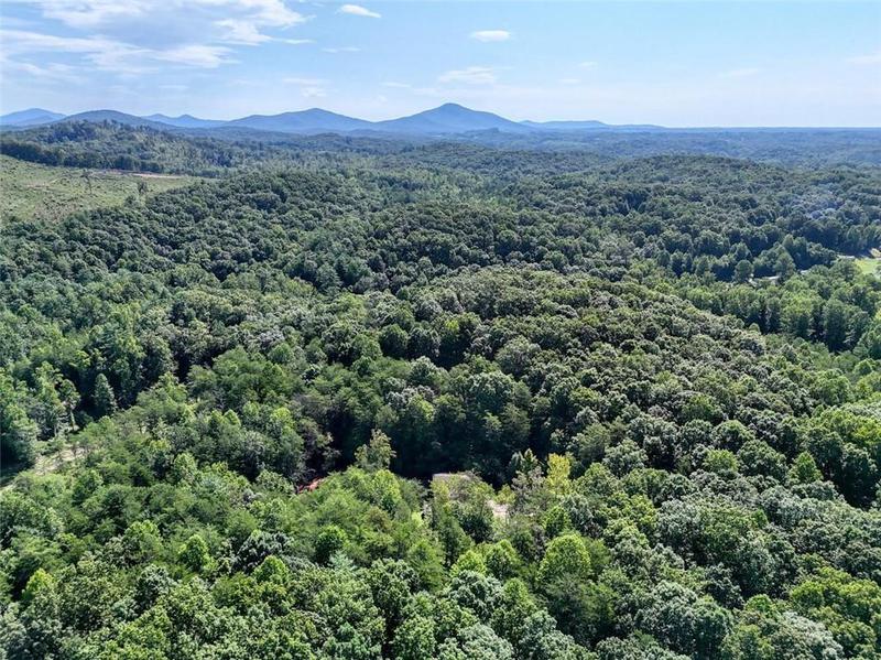 Image for property 451 Sunrise Trail, Dahlonega, GA 30533