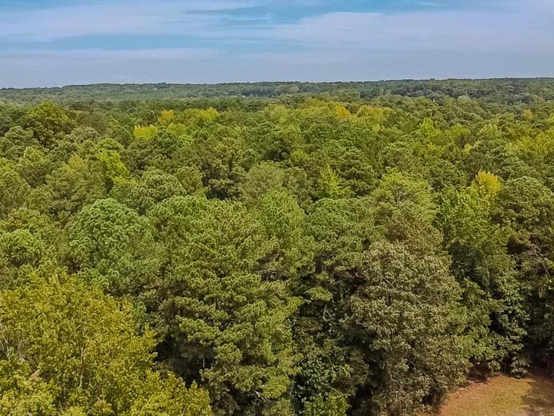 Image for property 1152 Harbins Road, Dacula, GA 30019