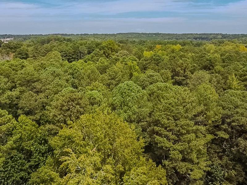 Image for property 1152 Harbins Road, Dacula, GA 30019