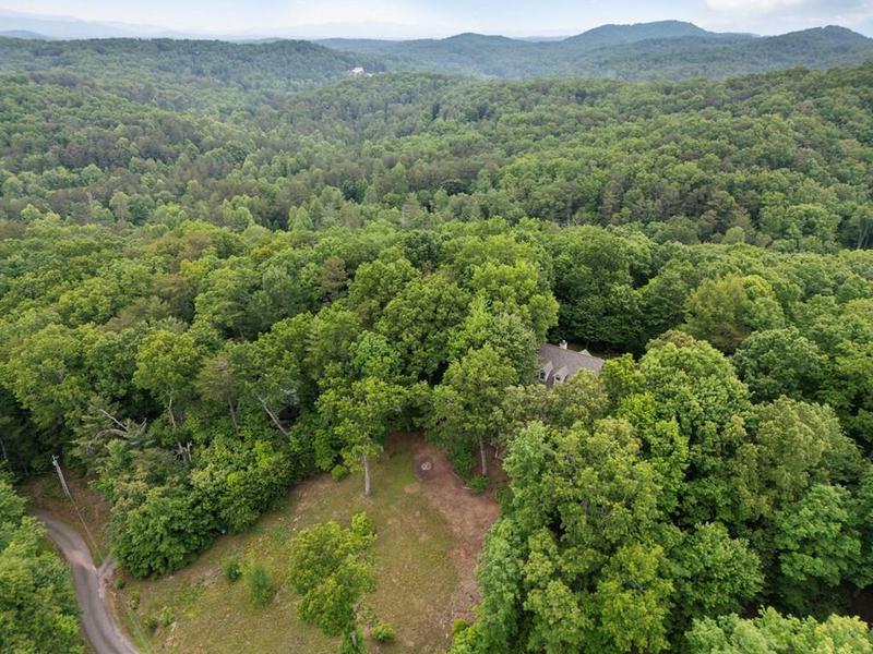 Image for property 344 Cascade Lane, Blue Ridge, GA 30513