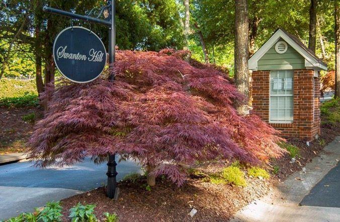 Image for property 111 Swanton Hill Court, Decatur, GA 30030