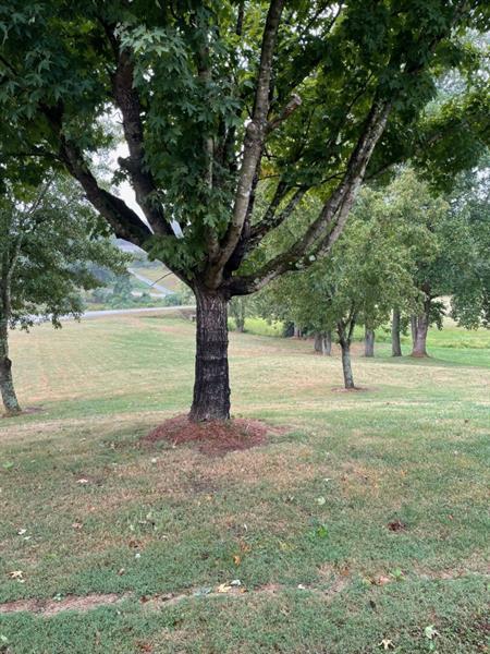 Image for property 69 Stringer Cochran Road, Murrayville, GA 30533