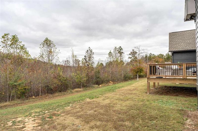 Image for property 1299 Ben Mosley Circle, Summerville, GA 30747
