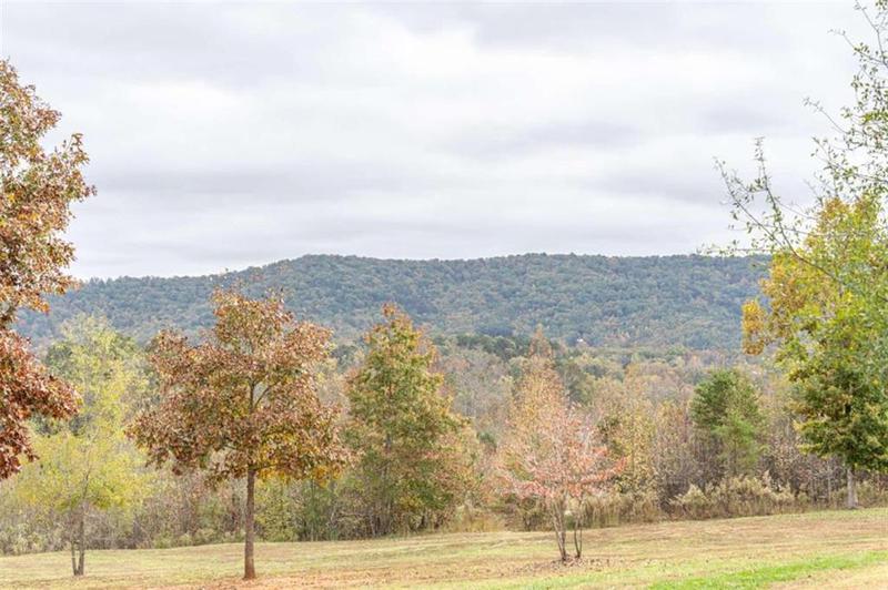 Image for property 1299 Ben Mosley Circle, Summerville, GA 30747