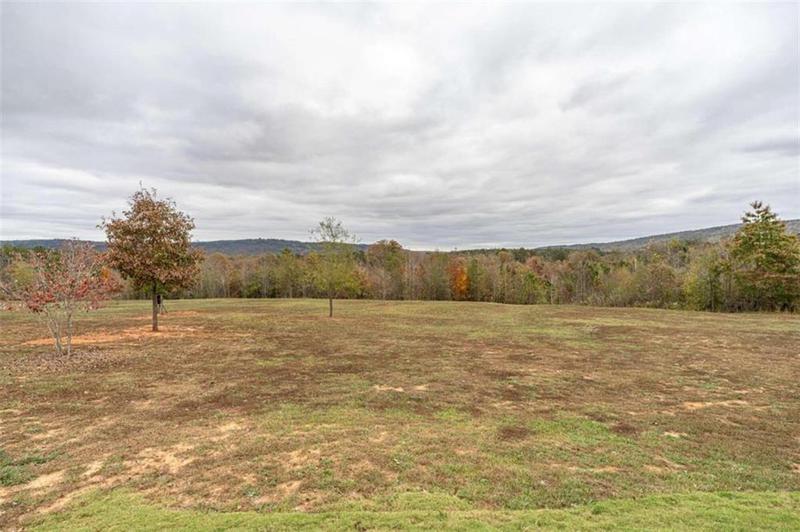 Image for property 1299 Ben Mosley Circle, Summerville, GA 30747