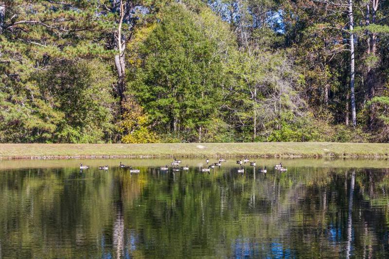 Image for property 3520 Tom Brewer Road, Loganville, GA 30052