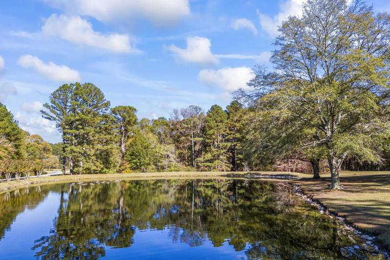 Image for property 3520 Tom Brewer Road, Loganville, GA 30052