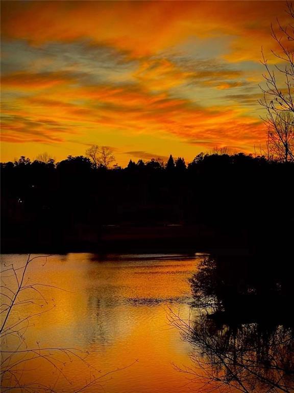 Image for property 2867 Darlington Run, Duluth, GA 30097