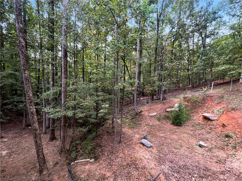 Image for property 5972 Warpath Road, Flowery Branch, GA 30542