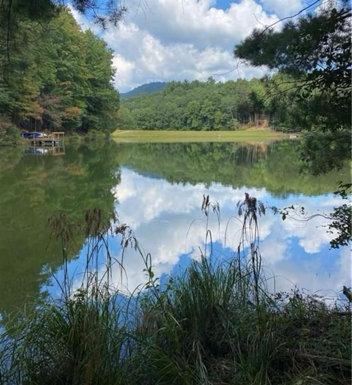 Image for property 46 Walnut Mountain Court, Ellijay, GA 30536