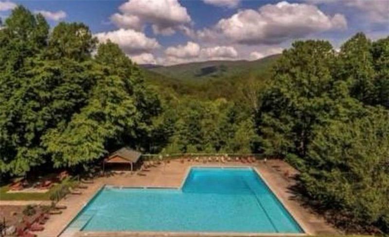Image for property 46 Walnut Mountain Court, Ellijay, GA 30536