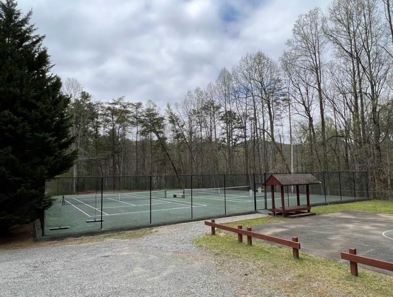 Image for property 46 Walnut Mountain Court, Ellijay, GA 30536