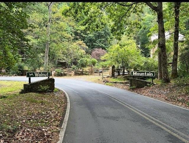Image for property 46 Walnut Mountain Court, Ellijay, GA 30536