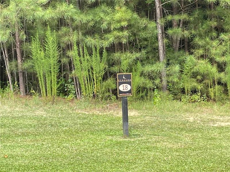 Image for property 260 Traditions Drive, Alpharetta, GA 30004