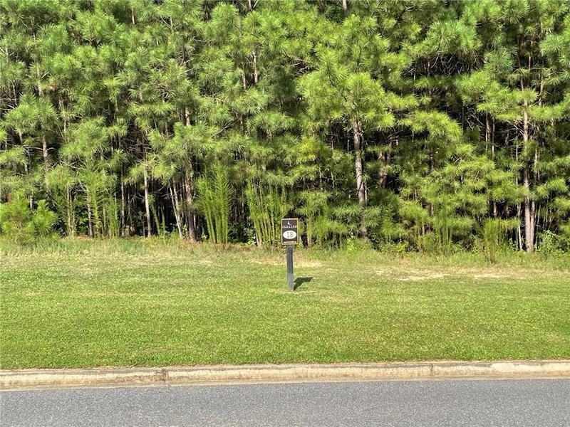 Image for property 260 Traditions Drive, Alpharetta, GA 30004