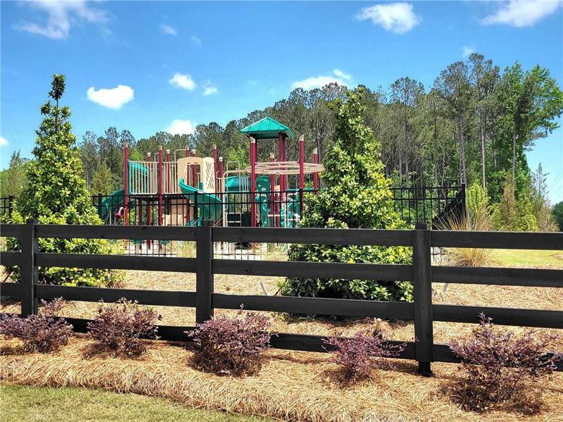 Image for property 134 Oakchase Park Lane, Hampton, GA 30228