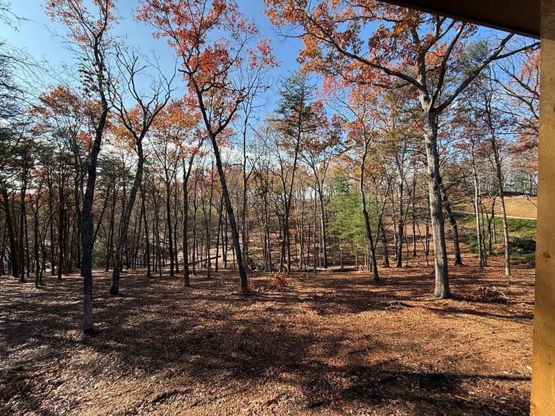 Image for property 0 Ada Street, Blue Ridge, GA 30513