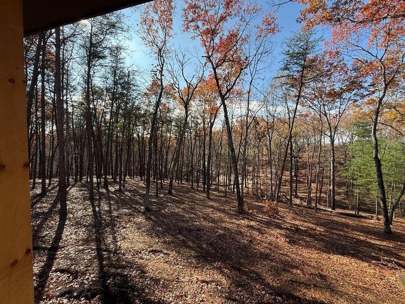 Image for property 0 Ada Street, Blue Ridge, GA 30513