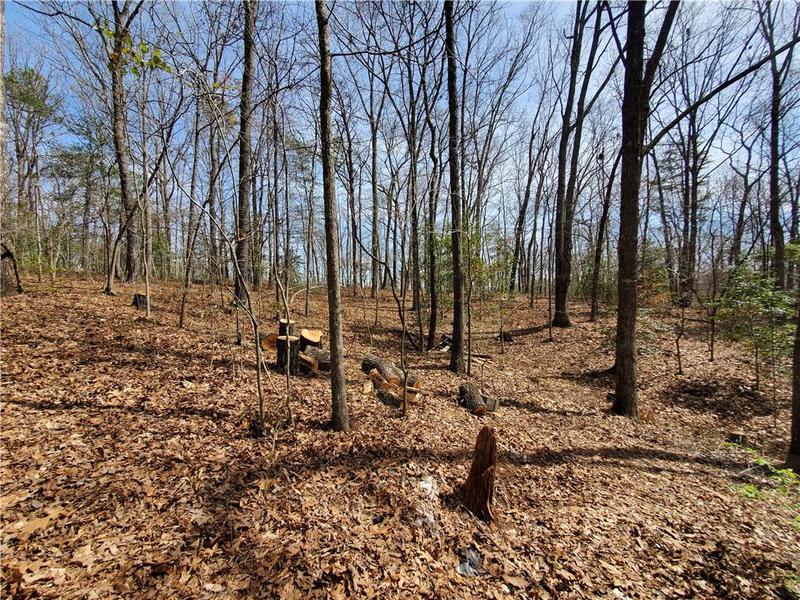 Image for property 392 Beaver Ridge Road, Jasper, GA 30143