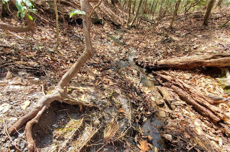 Image for property 392 Beaver Ridge Road, Jasper, GA 30143