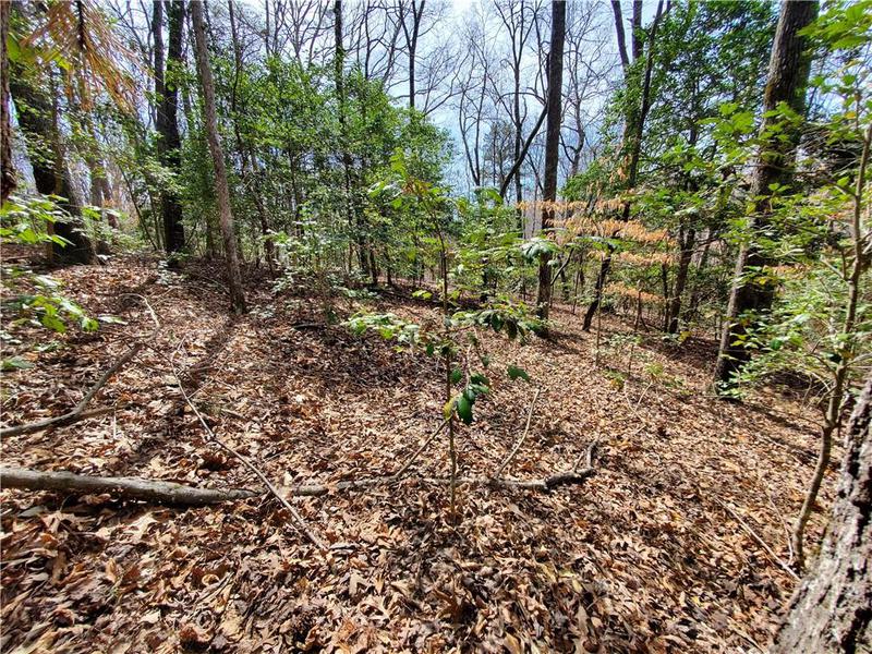 Image for property 392 Beaver Ridge Road, Jasper, GA 30143