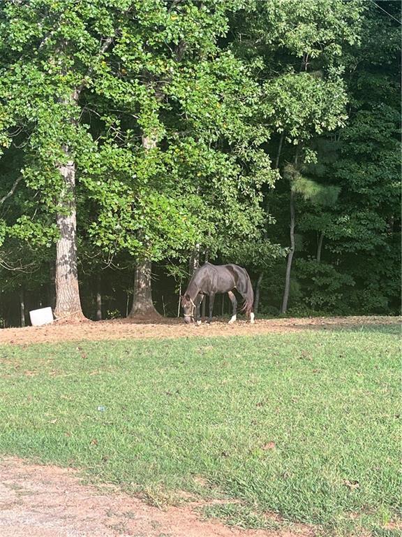 Image for property 109 Gainer Road, Griffin, GA 30223