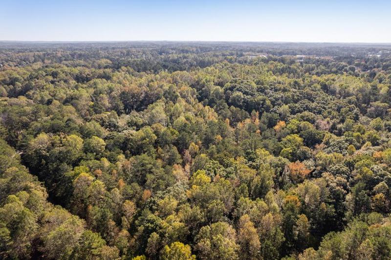 Image for property 13250 Birmingham Highway, Milton, GA 30004