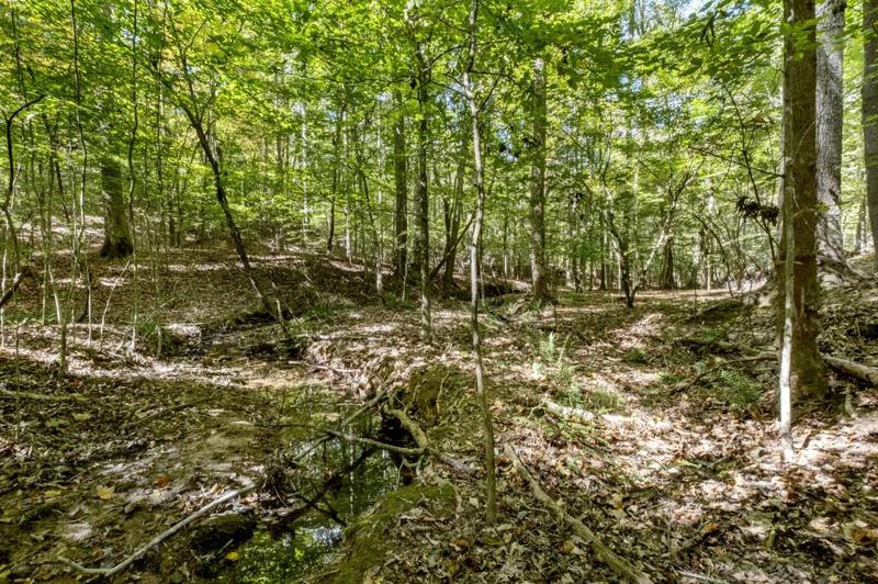 Image for property 13250 Birmingham Highway, Milton, GA 30004