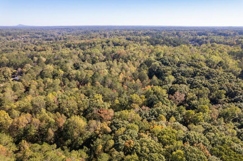 Image for property 13250 Birmingham Highway, Milton, GA 30004