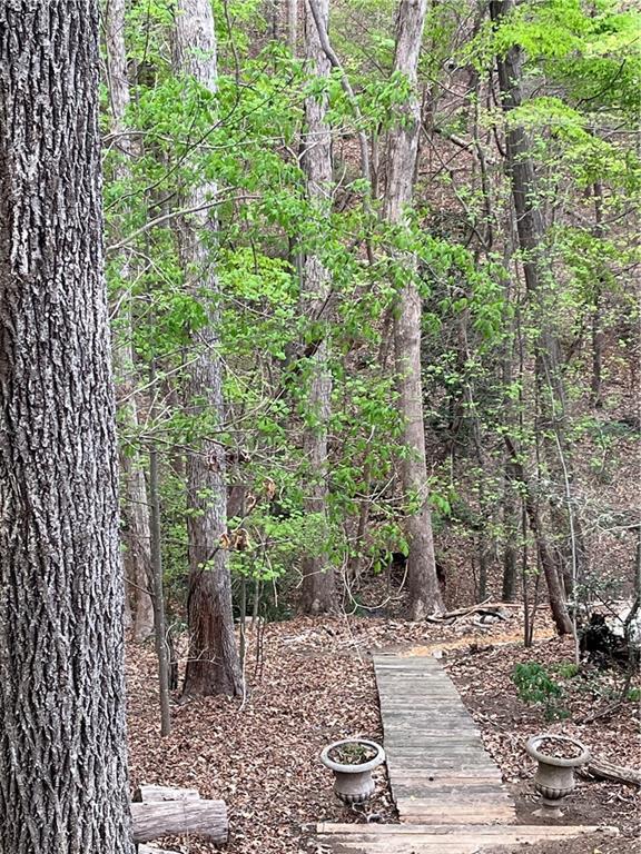 Image for property 8525 Anchor On Lanier Court, Gainesville, GA 30506