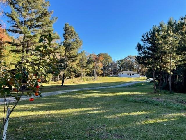 Image for property 1585 Jimmy Dodd Road, Buford, GA 30518
