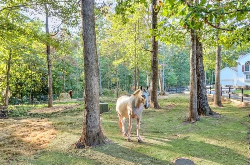 Image for property 2203 Arbor Hill Road, Canton, GA 30115
