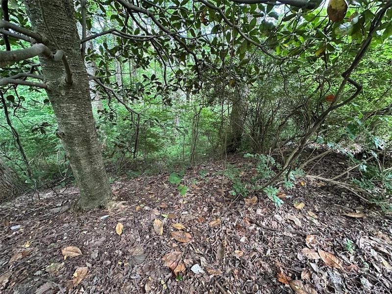 Image for property 5320 Grandview Road, Jasper, GA 30143