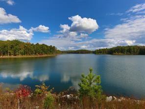Image for property 376 Lakeside Court, Canton, GA 30114