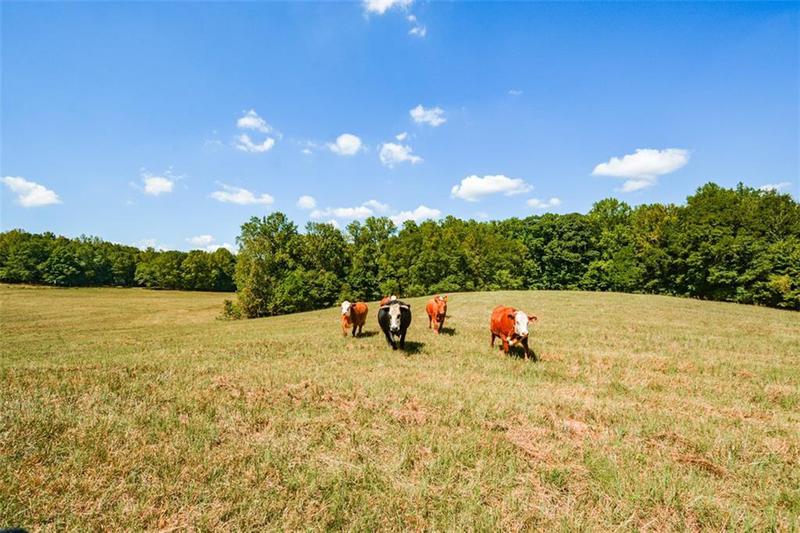 Image for property 787 Tidwell Road, Powder Springs, GA 30127