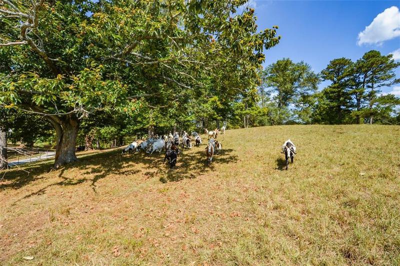 Image for property 787 Tidwell Road, Powder Springs, GA 30127