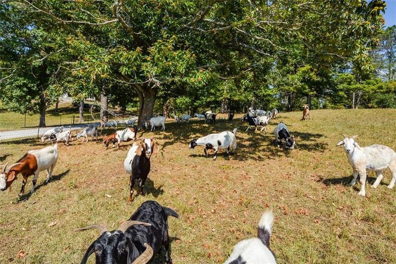 Image for property 787 Tidwell Road, Powder Springs, GA 30127
