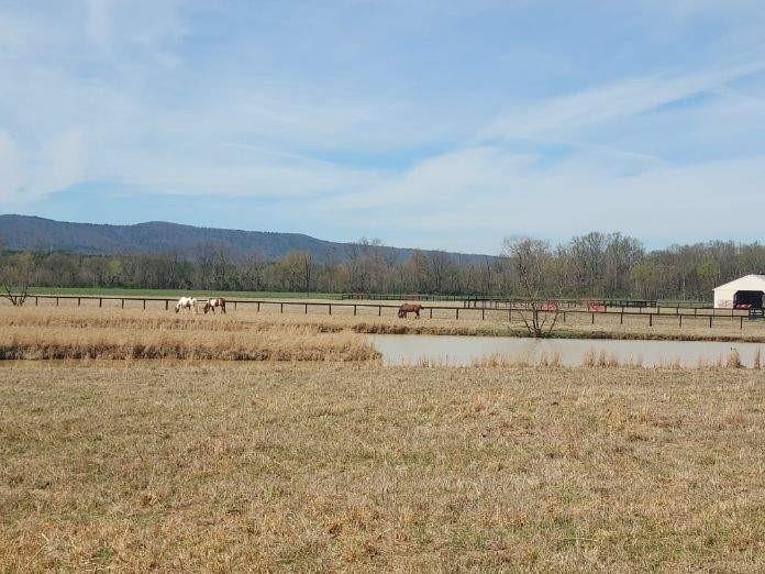 Image for property 515 Hunt Bend Road, Calhoun, GA 30701