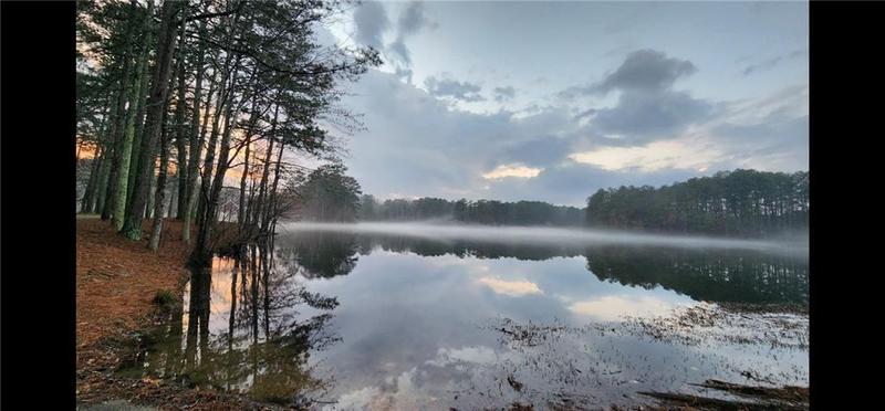 Image for property 27 Danbury Hill Coweta, Sharpsburg, GA 30277