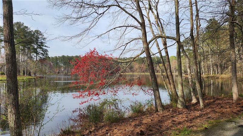 Image for property 27 Danbury Hill Coweta, Sharpsburg, GA 30277