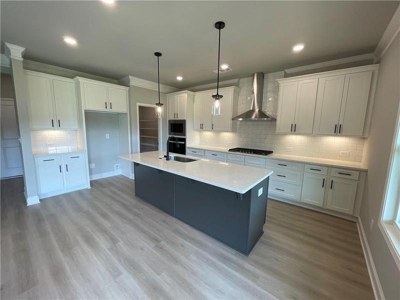 Image for property 57 HIDDEN FIELDS Way, Hoschton, GA 30548