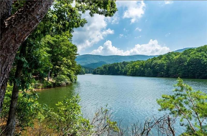 Image for property 29 LONG SWAMP Drive, Jasper, GA 30143