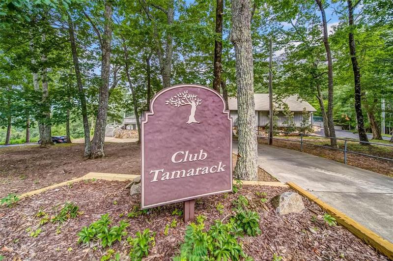 Image for property 29 LONG SWAMP Drive, Jasper, GA 30143