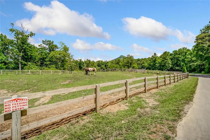 Image for property 29 LONG SWAMP Drive, Jasper, GA 30143