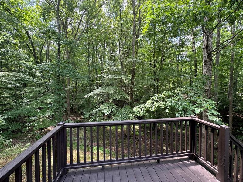 Image for property 194 Spring Leaf Drive, Dallas, GA 30157