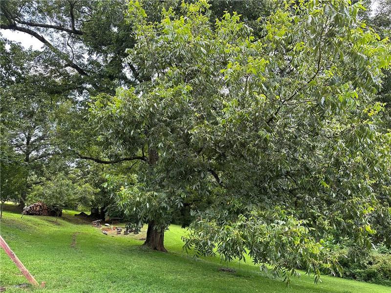 Image for property 2582 White Sulphur Road, Gainesville, GA 30501