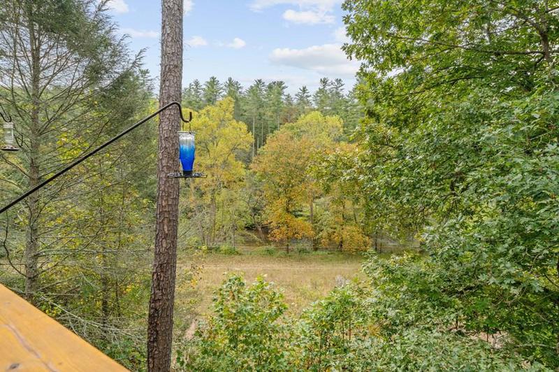 Image for property 292 Silver Fox Trail, Blue Ridge, GA 30513