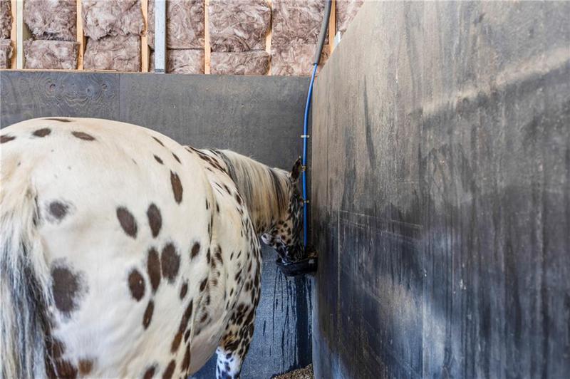 Image for property 356 Oak Grove Road, Adairsville, GA 30103