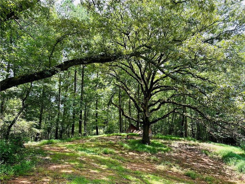 Image for property 2582 White Sulphur Road, Gainesville, GA 30501