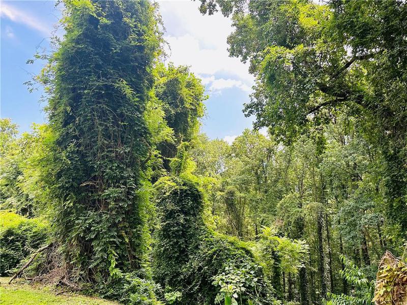 Image for property 2582 White Sulphur Road, Gainesville, GA 30501